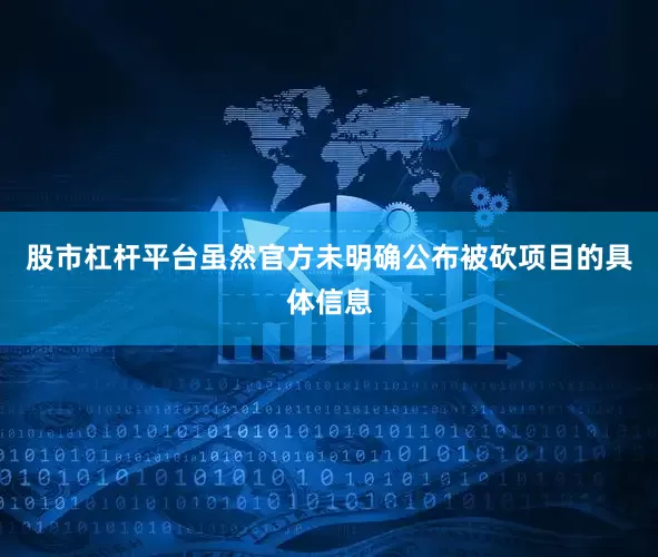股市杠杆平台虽然官方未明确公布被砍项目的具体信息