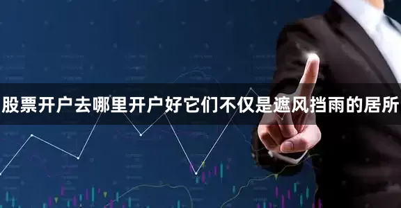 股票开户去哪里开户好它们不仅是遮风挡雨的居所