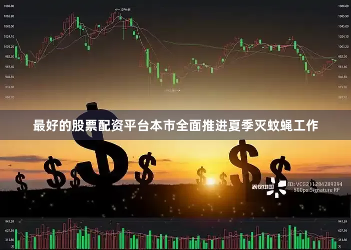 最好的股票配资平台本市全面推进夏季灭蚊蝇工作