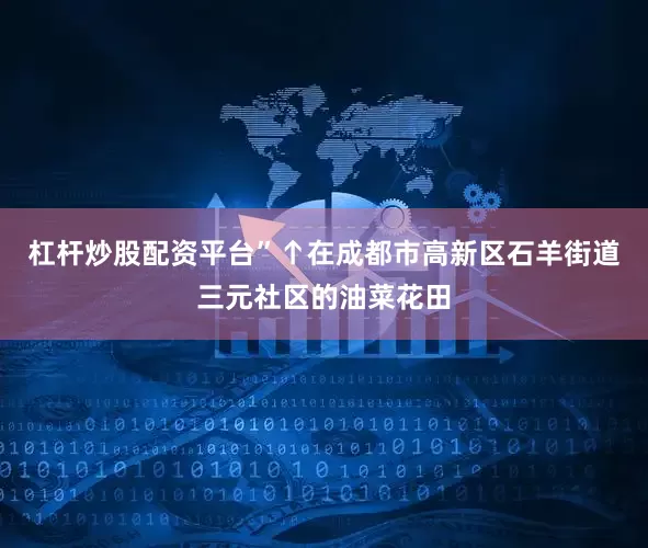 杠杆炒股配资平台”↑在成都市高新区石羊街道三元社区的油菜花田