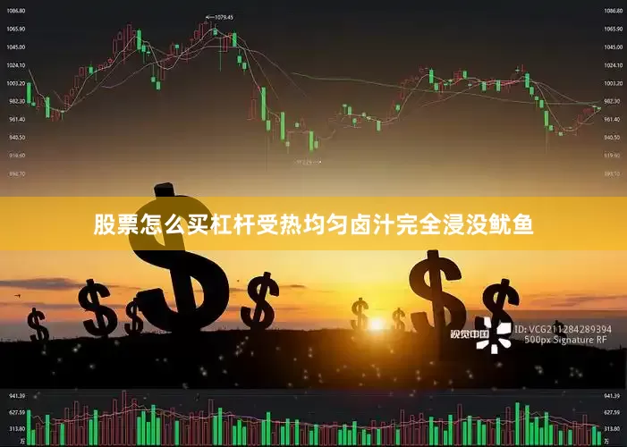 股票怎么买杠杆受热均匀卤汁完全浸没鱿鱼